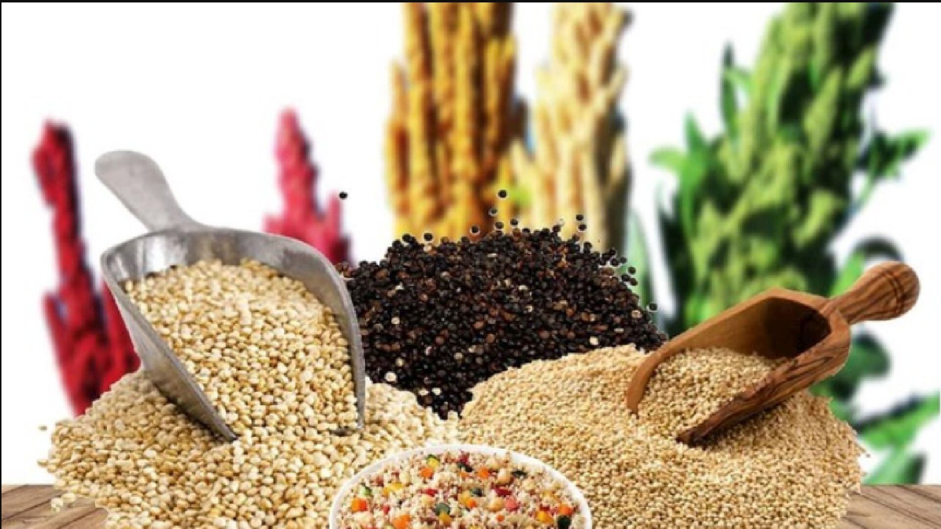 La producción de granos andinos, vital para el agro nacional, representa un pilar alimentario y económico que da trabajo y pone al Perú en la mira del comercio global. (gob.pe)