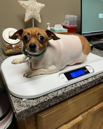 La primera vez que pesaron