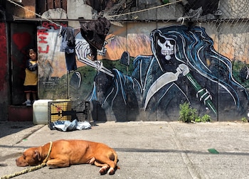 En el sexenio de Felipe