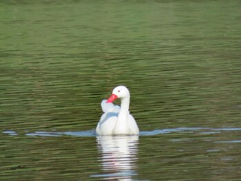 Fotografía sin fecha cedida por