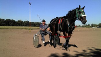 Los caballos, una de las