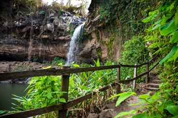 Para enamorarse de la naturaleza