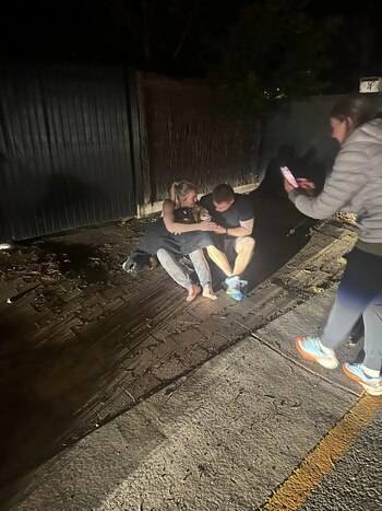 La mascota escapó de la peluquería canina.