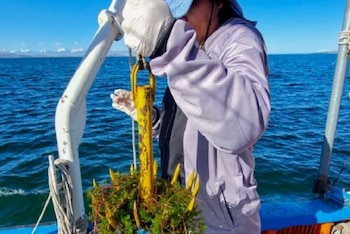 El Instituto del Mar del