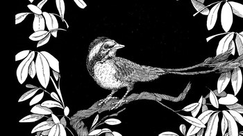 Dada la naturaleza frágil de