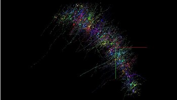 Mapa cerebral Google Harvard