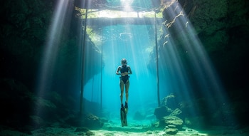 El reflejo de inmersión durante