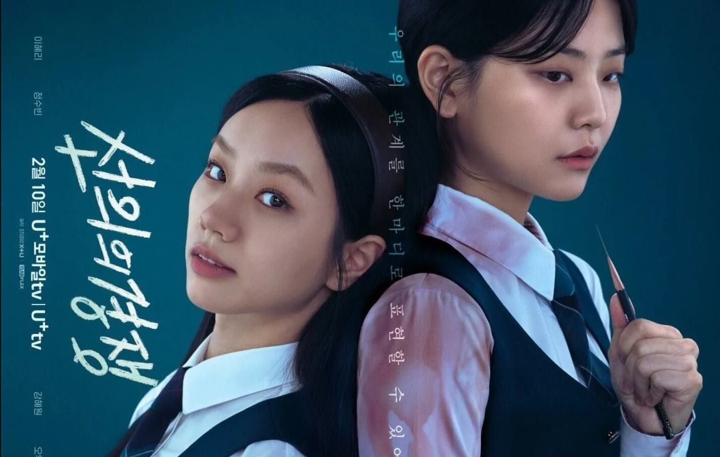 La serie tiene 16 episodios que se encuentran disponibles en Netflix y Viki. (Netflix)