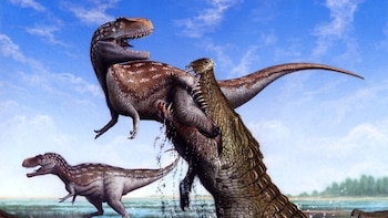 El Museo de Ciencias Tellus