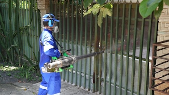 Ministerio de Salud intensifica fumigaciones y visitas casa por casa para frenar brote de dengue en cantón costarricense