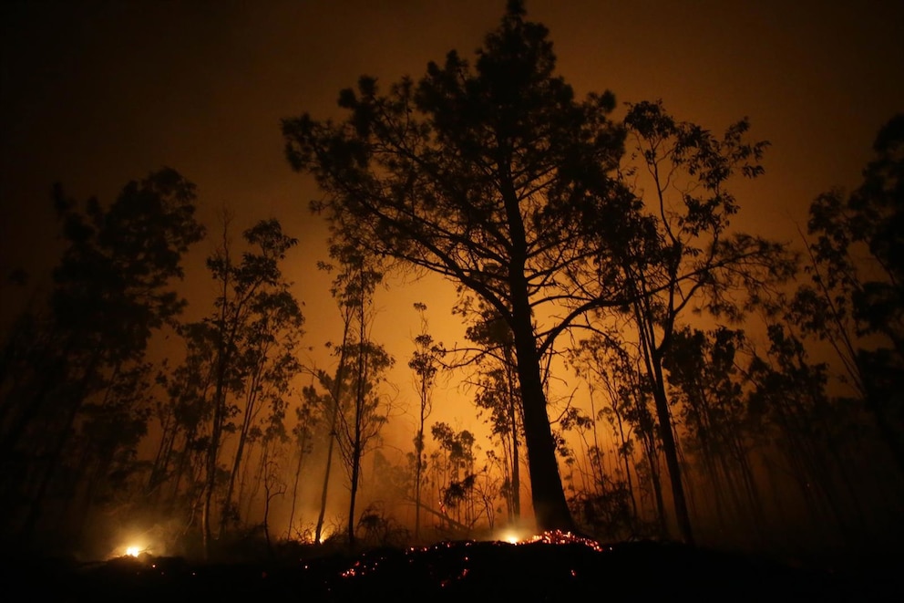 Día de la Prevención de Incendios Forestales: el cambio climático acelera la amenaza global