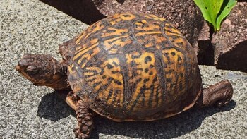 En uno de los parque