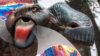 Tejido blando desconocido identificado en