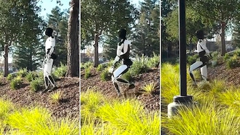 El robot de la compañía