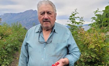 Enrique Silva, productor de fruta