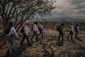 Las labores de búsqueda incluyen recorridos en zonas rurales, rastreo de posibles fosas clandestinas y revisión de indicios para localizar a personas desaparecidas. (Imagen ilustrativa generada con IA | Infobae México)