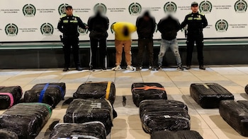 Incautaron más de dos toneladas de marihuana en una fundación para mascotas en Bogotá: cuatro personas fueron capturadas