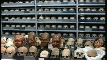 La habitación de las 10