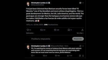 Christopher Landau, exembajador de Estados