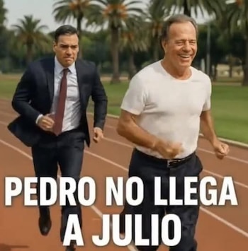 Pedro Sola memes
