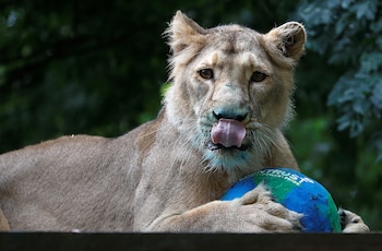 De acuerdo a cifras recientes,