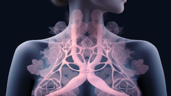 Su enorme aporte de antioxidantes