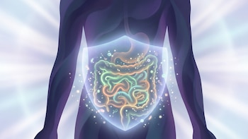 Alteraciones en la microbiota intestinal pueden incrementar el riesgo de desarrollar cáncer de colón
