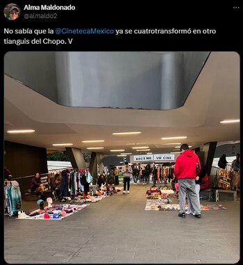 (Captura de pantalla X/@almaldo2)