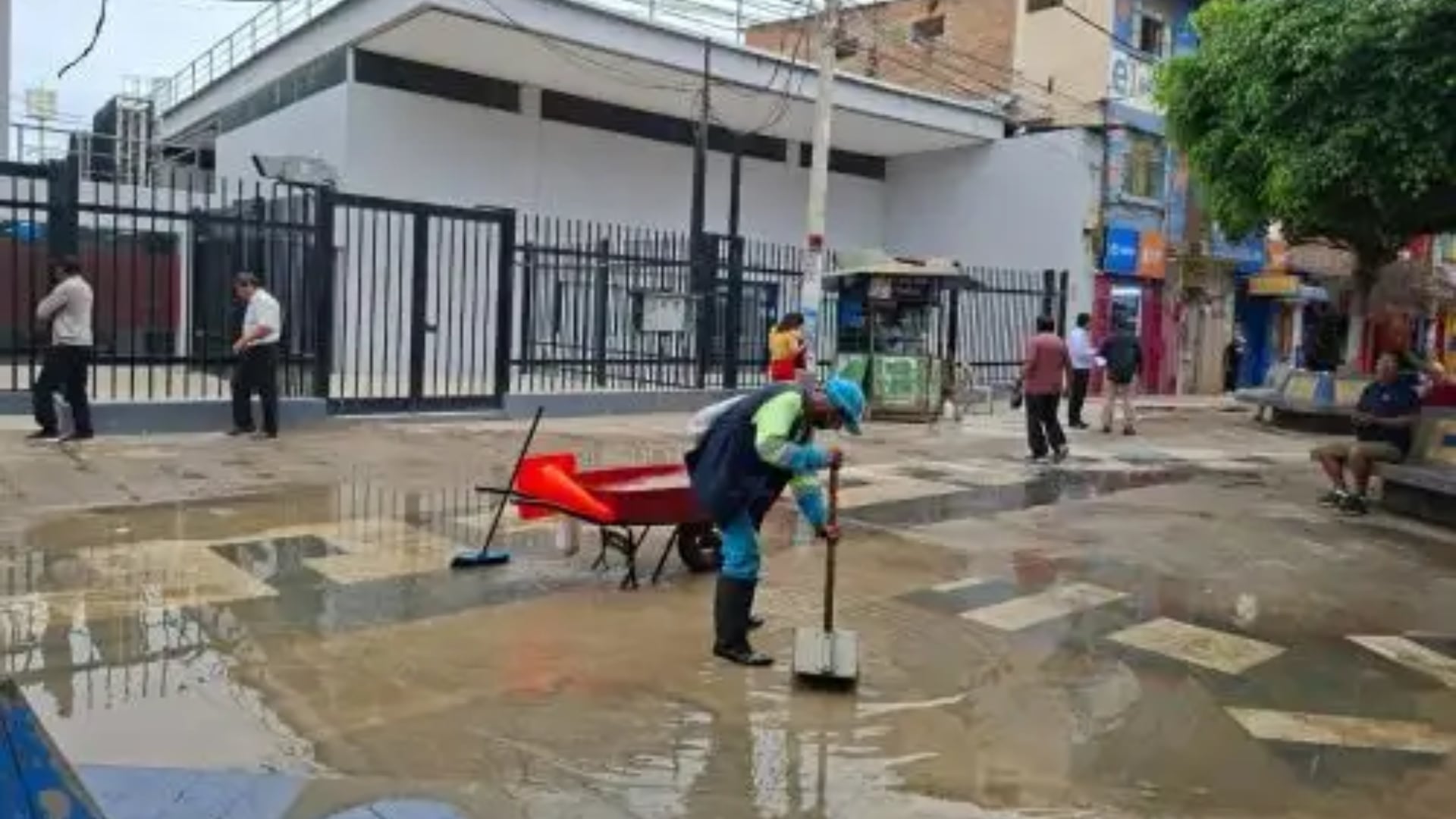 Alerta por leptospirosis en Perú. Foto: Andina