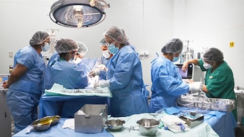 Cirugía compleja de ocho horas