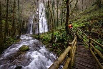 Seimeira de Vilagocende, A Fonsagrada,
