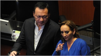 Ruiz Massieu aseguró que no