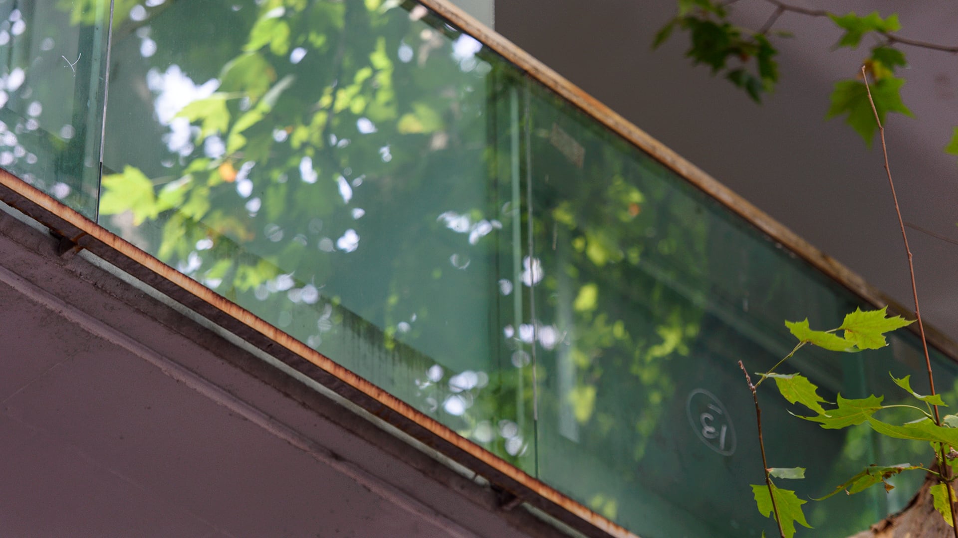 La víctima sufrió cortes graves en cabeza, nuca, espalda, cuello y brazo izquierdo, debiendo someterse a rehabilitación por la sección de tres tendones (Adrián Escandar)