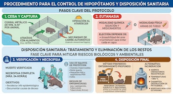 La disposición sanitaria de los cadáveres implica necropsia inmediata y entierro profundo, siguiendo estrictos protocolos de bioseguridad para prevenir riesgos ambientales y enfermedades - crédito imagen ilustrativa Infobae