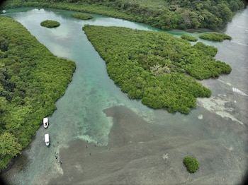 Panamá conmemora cada 2 de febrero el Día Mundial de los Humedales, en medio de presiones asociadas a urbanización, turismo no regulado y cambio climático. Cortesía