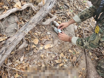 Los operativos, realizados en diferentes municipios, buscan fortalecer la seguridad y restablecer el Estado de derecho en la entidad. Crédito: Especial