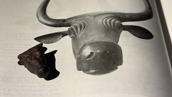 Un excursionista encuentra en la