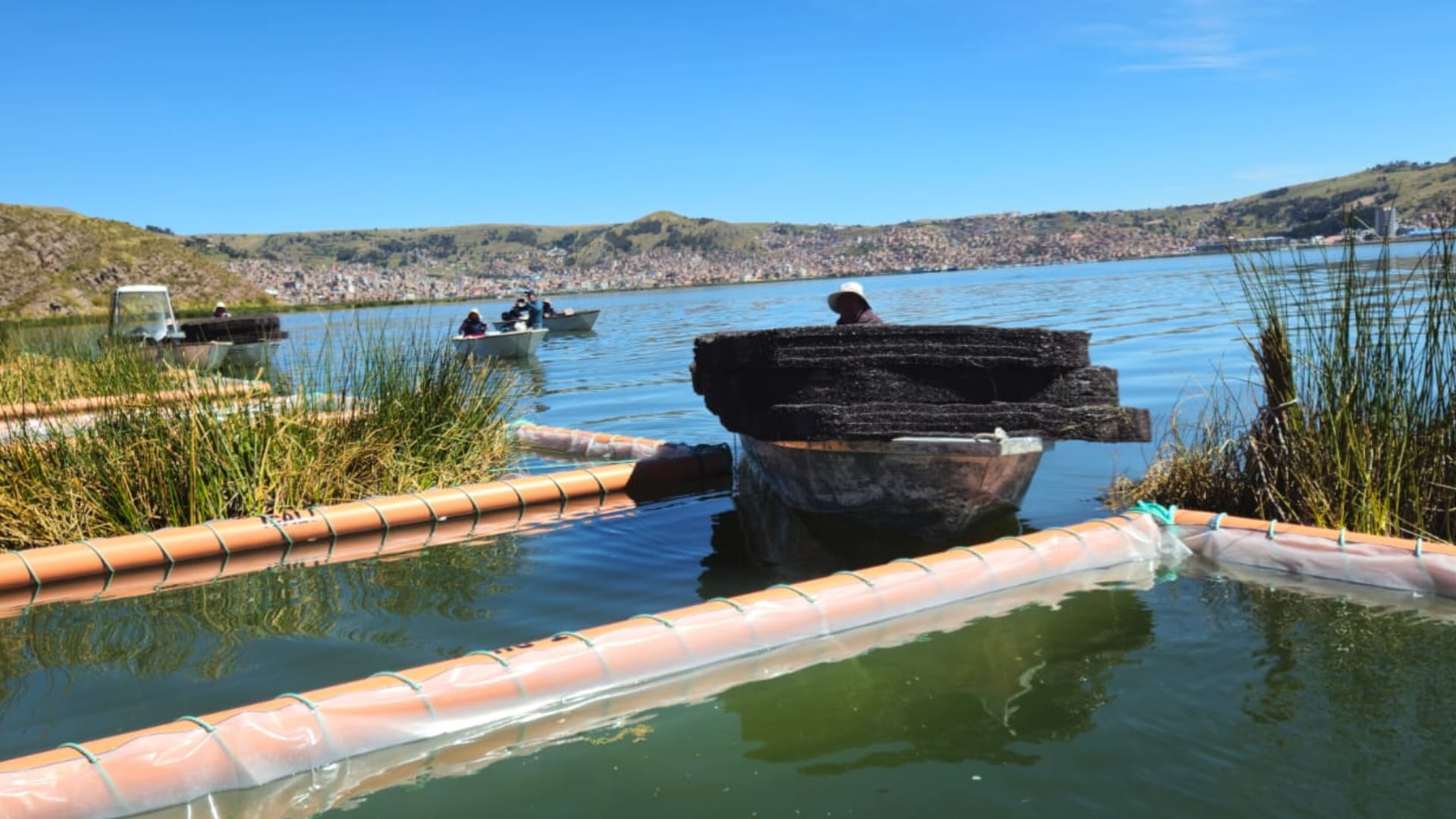 Totora como solución: así buscan recuperar el agua del Titicaca