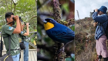 Así se puede participar en