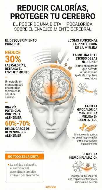 El estudio de la Universidad