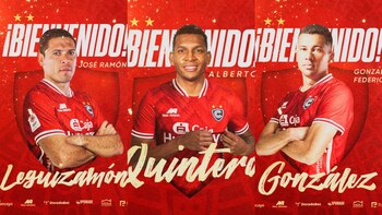 Han sumado un total de