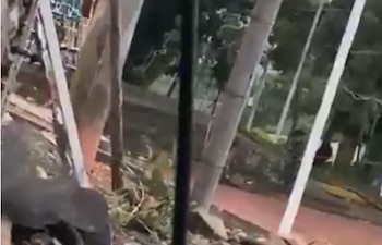 Desde las 6:00 a. m.