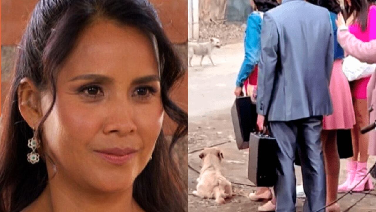 Nidia Bermejo es cuestionaba por actitud con perro callejero.