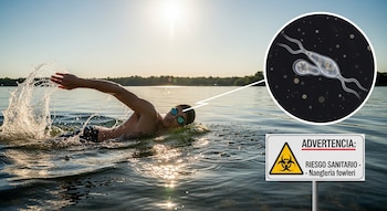 Un hombre nada en un lago al atardecer, salpicando agua. Una señal de advertencia amarilla y negra por riesgo sanitario y una Naegleria fowleri microscópica.
