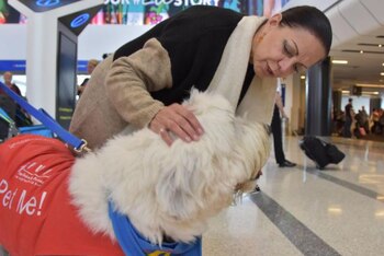 Para llegadas internacionales al aeropuerto