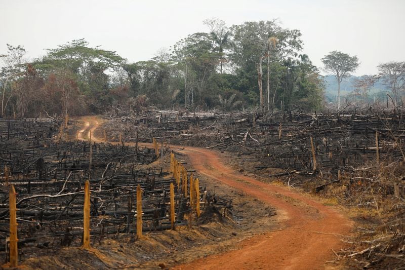 La deforestación es una de las consecuencias ambientales producto de las acciones que enfila alias Calarcá y su disidencia en el departamento de Caquetá - crédito archivo Reuters / Luisa González