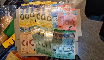 Dinero decomisado en los allanamientos realizados por las autoridades. Crédito: MSP