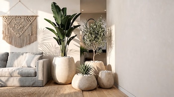 FRUTALES DECO