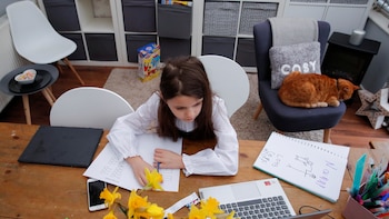 Homeschooling: cuando la educación deja de ser un asunto público