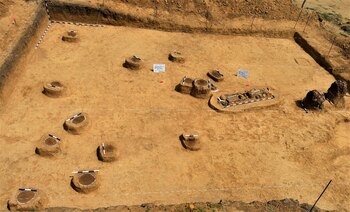 Los descubrimientos más numerosos son